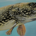pike painting